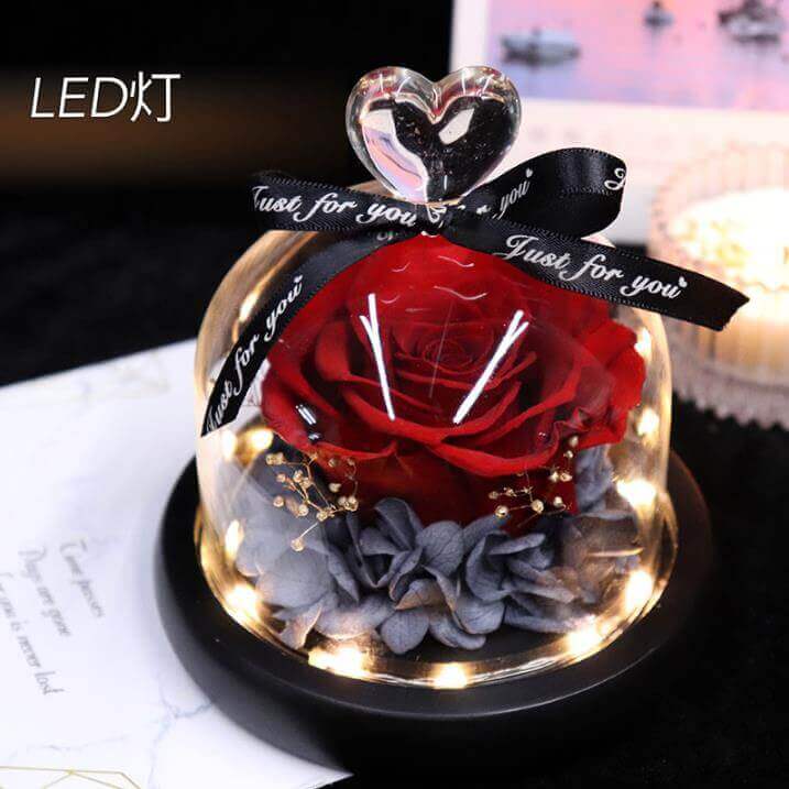 Forever Rose In Glass with LED light