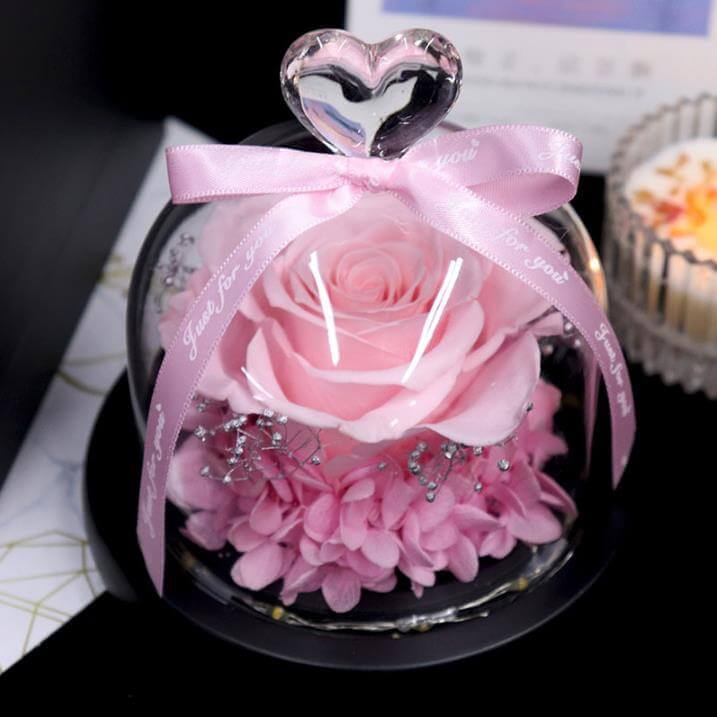 Enchanted Rose Gift